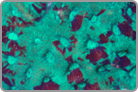 Green with Maroon Splotches.